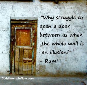 "Why struggle to open a door between us when the whole wall is an illusion?"- Rumi